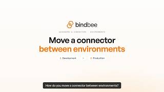 Information How to Move a Connector Between Environments | Bindbee Update