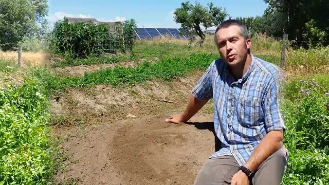 Permaculture Swales Part 1