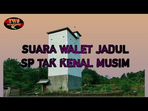 SP jadul, SP Tak Kenal Musim 2