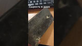 Телефон Отсырел