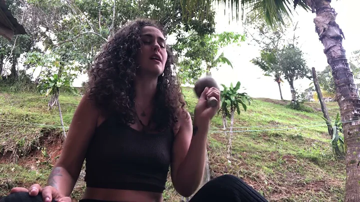 Vuela Golondrina (Cancin medicina)