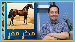 الأدب العربي - شرح معلقة امرئ القيس (5)  - مكر مفر مقبل مدبر معا