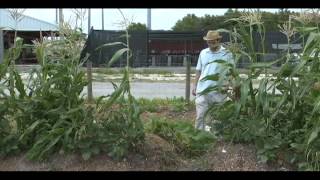 Verde Gardens Trailer