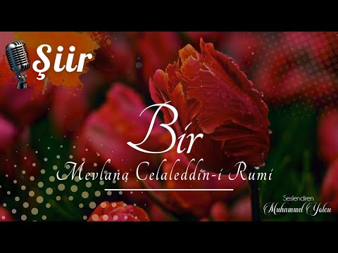 BİR | Mevlana Celaleddin-i Rumi (Şiir)