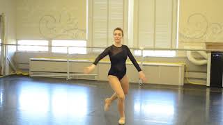 524105 Hdw Dance Black Quick Order Mesh Long Sleeve Dance Leotard