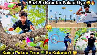 Bazi se Pakad Kar Laye kabutar 🤑 || Ped Par Baitha Kabutar Pakad Liya 🕊️