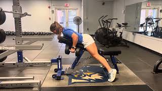 Chest Supported Row (Eccentric)