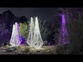 Lights Up! A Festival of Illumination at the Tucson Botanical Gardens