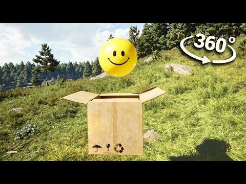 The Real Verity Story in 360° VR