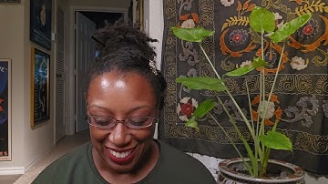 AaIIG Process #8 The Book of Positive Aspects