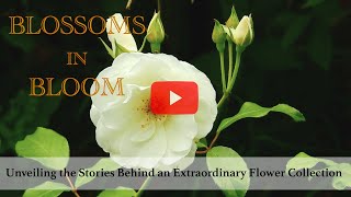 Beautiful Flower Collection | Blooming Elegance | A Visual Feast Of Exquisite Flowers |