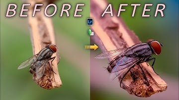 How To Editing Macro Photos In Professional With Snapseed And Lightroom #macro