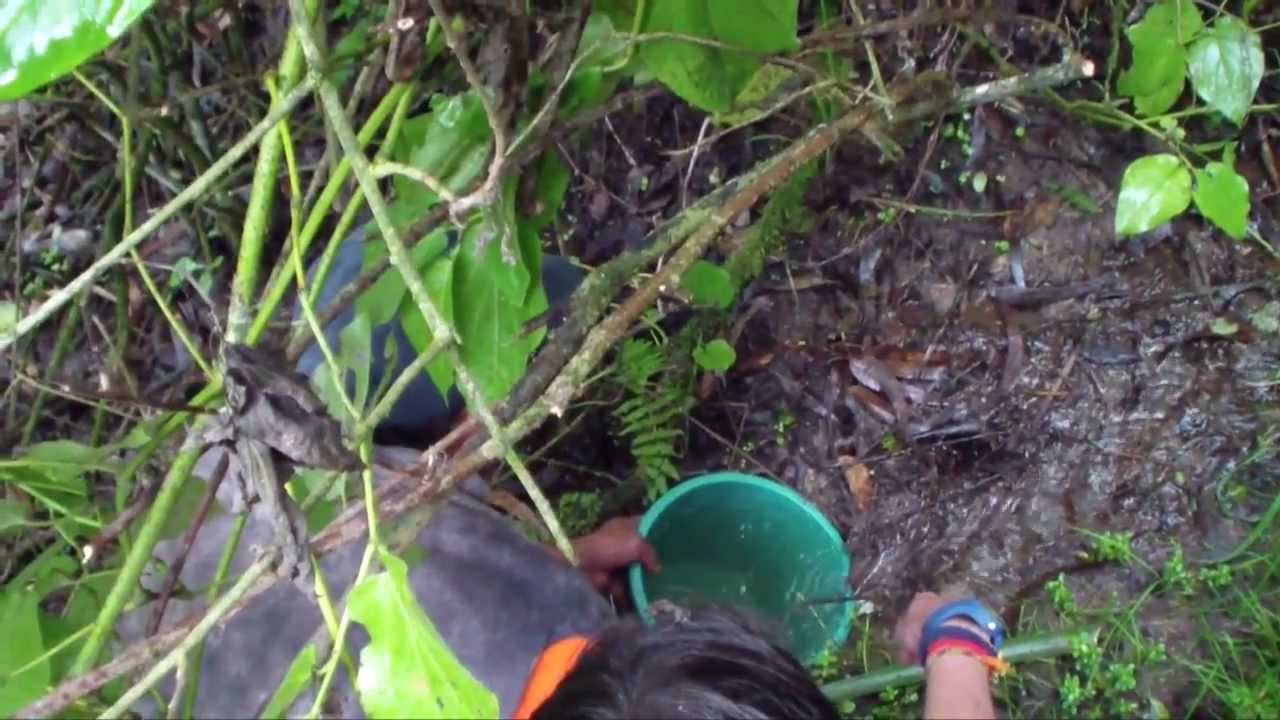 Princeton's Engineers Without Borders help bring clean water to Andean village