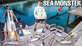 Finding Aquarium SEA MONSTERS Using 1,000 LBS Of DEAD FISH!
