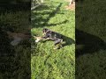 Odessa video
