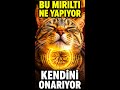 Kediler Acı Çekerken Bile Neden Mırıldar? 🐱