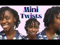 HOW TO: Mini Twists on Short Type 4 Hair | Grow and Retain Length