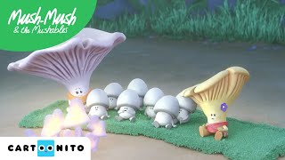 Mush Mush Ve Arkadaşlari Karanlık Korkusu Cartoonito Türkiye