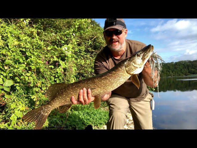 Summer time lure fishing for pike 