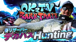 春リザーバーのオカッパリでデカバスハンティング！「Vish OKaTV・バンクトレイルvol.3」