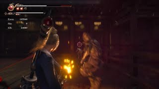 NINJA GAIDEN 2 Black tag mission ultimate ninja 3