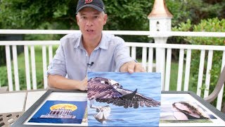 Celebrity STOP Asking about CAMERA SETTINGS! Net Worth