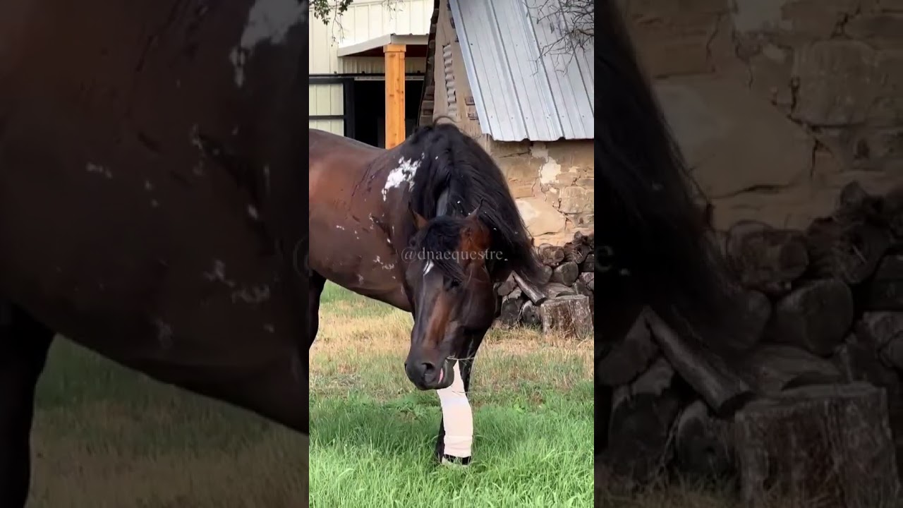 A Inspiração de Triple Vodka  