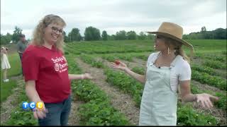 Strawberry Season