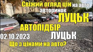 АВТОПІДБІР ЛУЦЬК | Свіжий огляд цін на авто | Автобазар ЛУЦЬК | Що з цінами на авто? #автопідбір