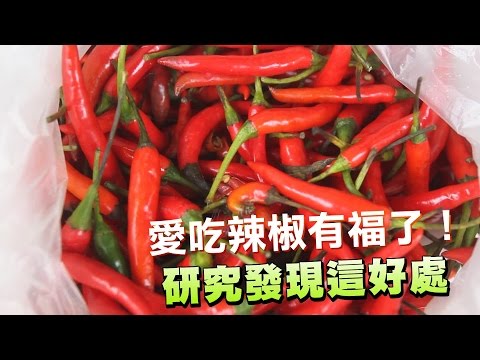 吃辣椒有福了！研究發現有這好處 | 台灣蘋果日報