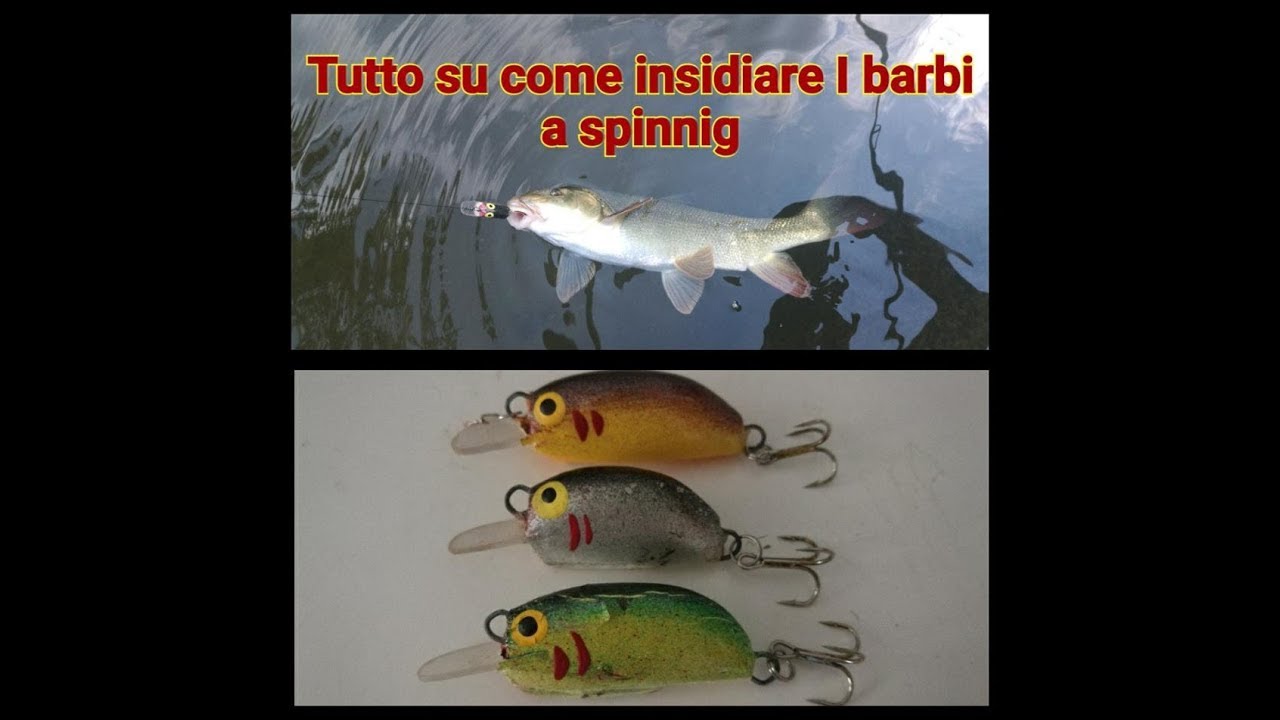 barbi a