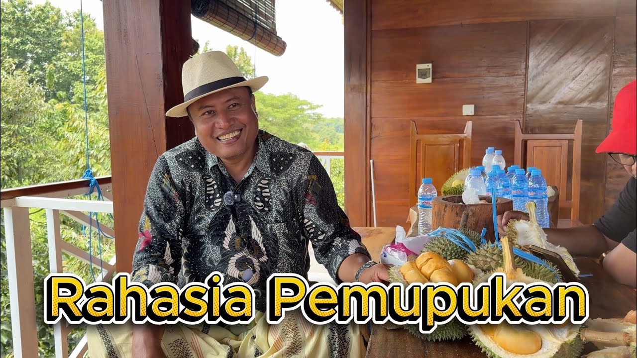 Rahasia Pemupukan dan Penyiraman Durian di Lamongan