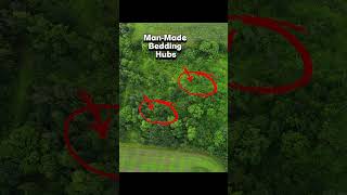 You Can Create Your Own Buck Hunting Opportunities