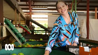 🥭 Bella's packing mangoes in her hometown this summer and she's loving it | ABC Australia