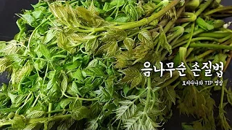 엄나무순무침