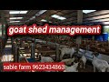 goat shed management |शेळीपालन निवारा व्यवस्थापण। sable farm