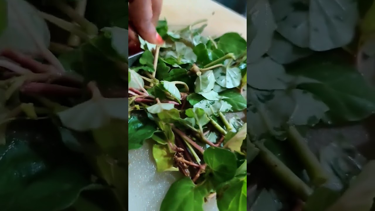 Herbal drink for healthy life 🌿 