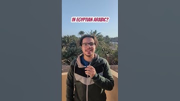 Palm tree in Egyptian Arabic 🇪🇬🌴