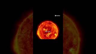 Celebrity Guys, I think I’m right but what do you think? 🔥💗#ericwinter #dericaugustine Wealth