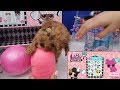 YENİ KÖPEĞİMİZ İLE LOL Surprise Makeover Series Fuzzy Pets NASIL AÇILIR LOL Surprise Bidünya Oyuncak