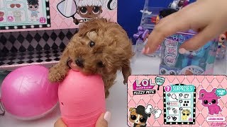 YENİ KÖPEĞİMİZ İLE LOL Surprise Makeover Series Fuzzy Pets NASIL AÇILIR LOL Surprise Bidünya Oyuncak