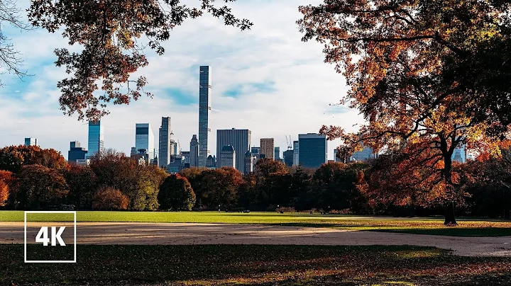 FALL in CENTRAL PARK - New York City Walking tour