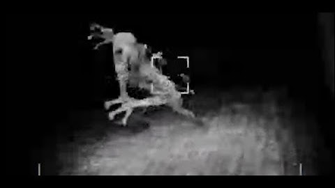 Mario brings his soundboard to the depths - Content Warning