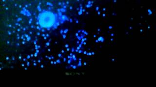 Mgmorion Pictures Logo 1986