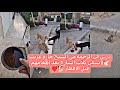 رد فعل الكلاب على لطف الشيخ حازم قبل الإفطار ضيوف غير متوقعين قبل المغرب درس مؤثر في الرحمة