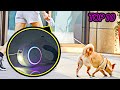 TOP 10 BEST PET PRODUCTS 2021 FROM AMAZON & ALIEXPRESS
