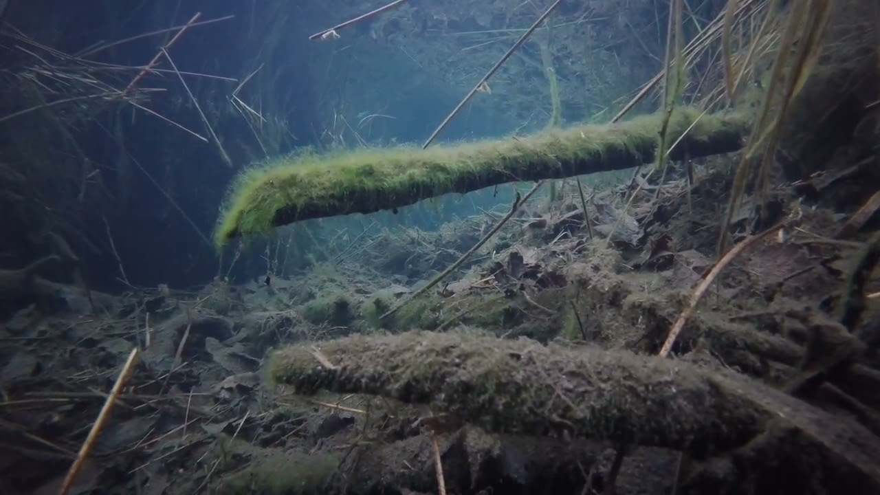 Hali Pond Inflow (Near Bridge on Trail), Underwater GoPro Footage