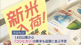 新米のコメ 発酵乳酸菌あきたこまち焙煎玄米粉 1kg| 白米お取り寄せ・通販の