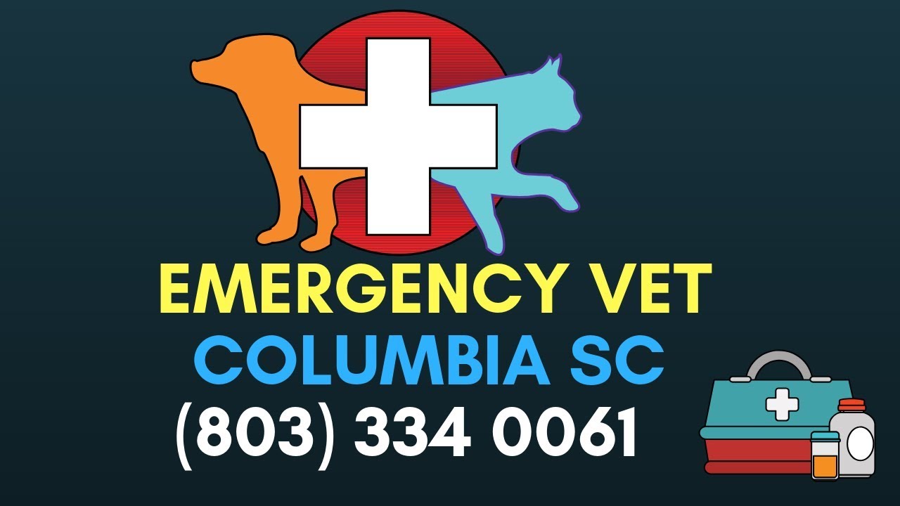 Emergency Vet Columbia SC Emergency Veterinary Clinic Columbia SC