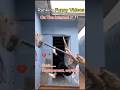 RANKING FUNNY VIDEOS I FOUND ON THE INTERNET PT.11😆😂😆 #shorts #viralshorts #funnyvideo #fails